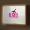 Catch flights not feelings - Vliegtuig - Roze Light Box met batterij (Wandlamp) middel -z3d_website