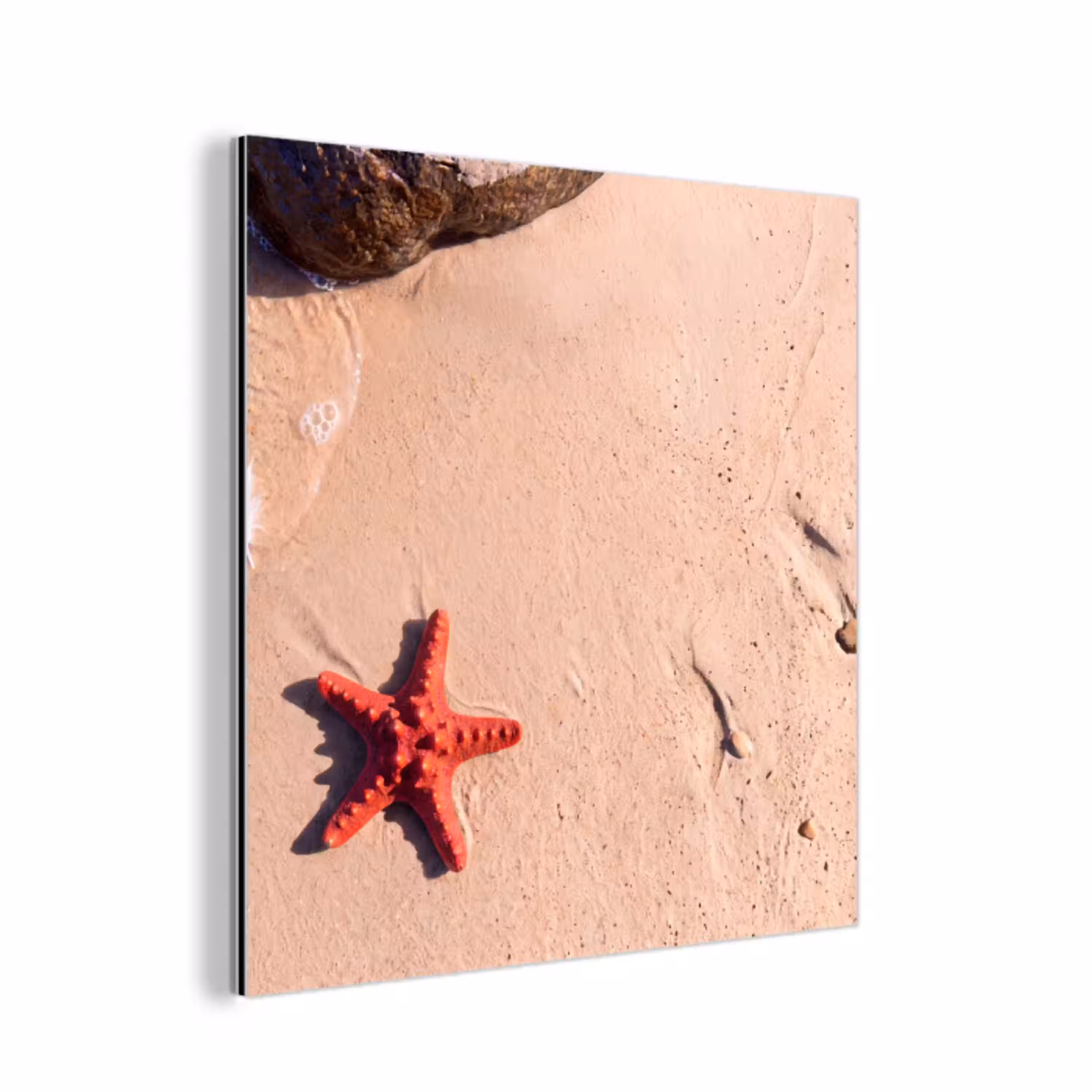 Dieren - Strand - Zee - Natuur - Rood aluminium wit klein -3d