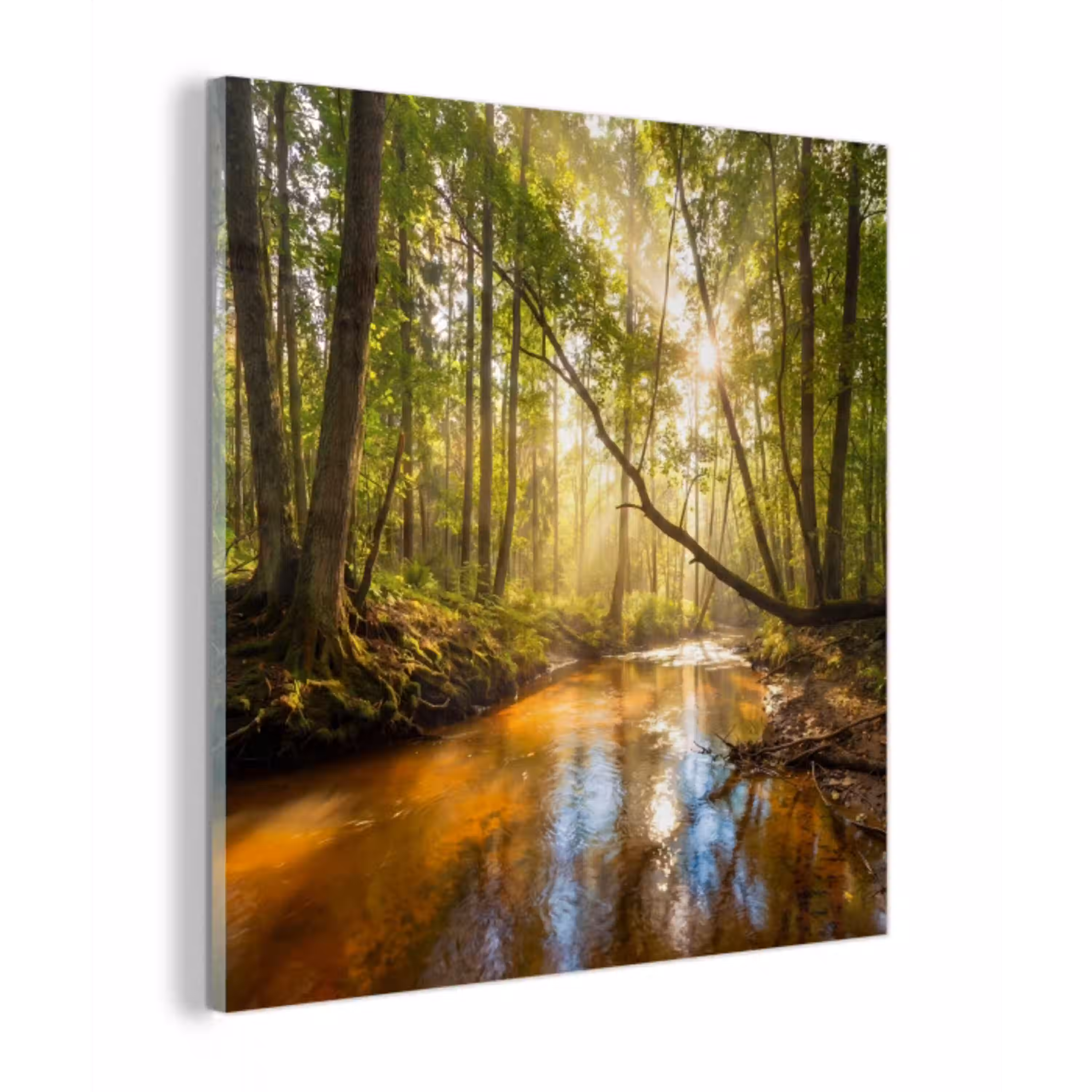 Bos - Beek - Zonlicht - Natuur - Groen plexiglas 5mm klein -z3d