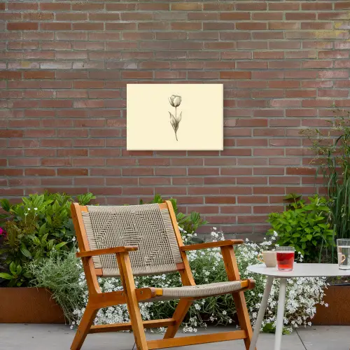 Illustratie - Tulp - Zwart Tuinposter op houten frame 2 cm dik klein -sfeer3