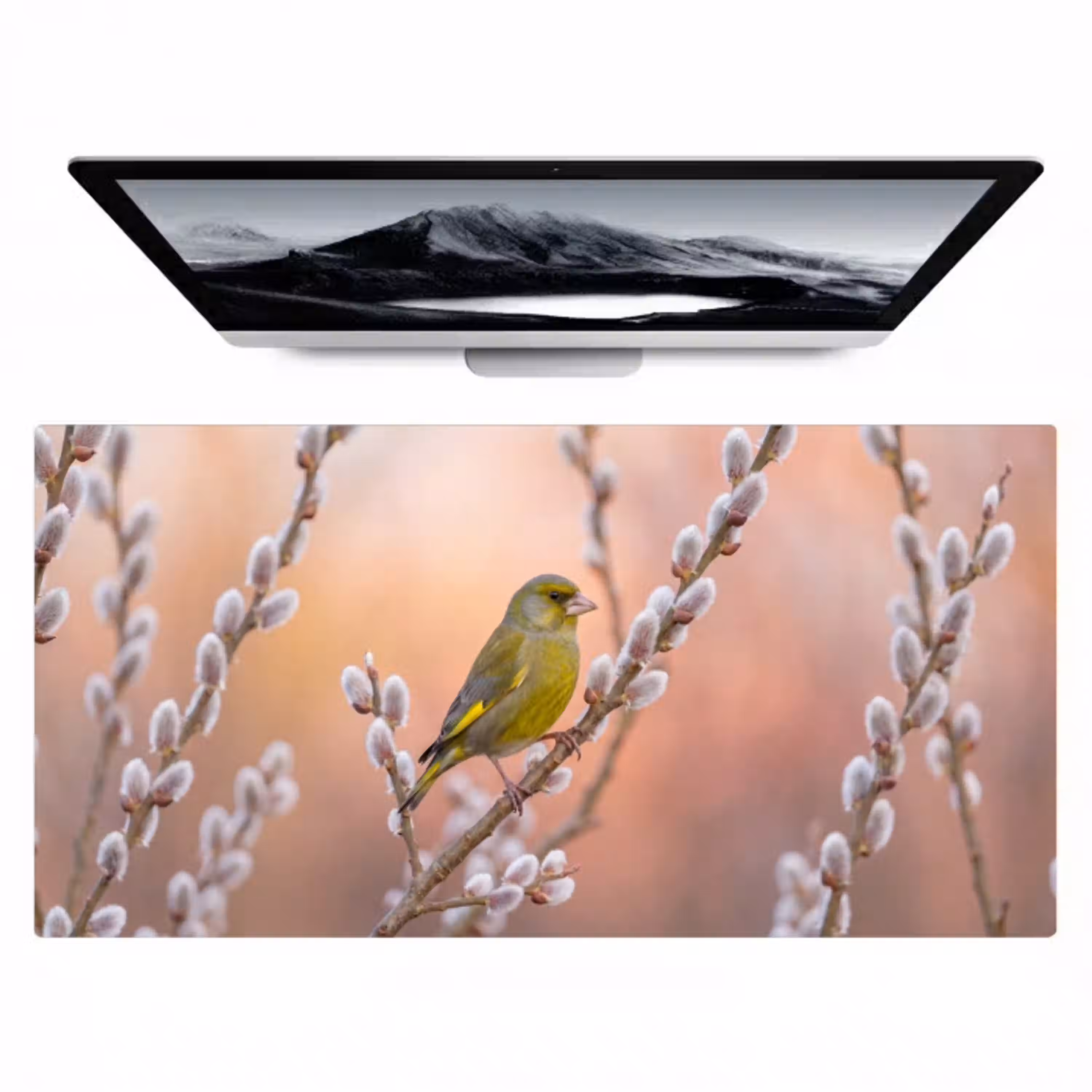 Groenling - Katjes - Lente - Natuur - Zacht Muismat XXL klein -zzz3d