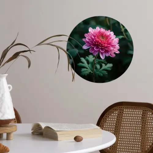 Blad - Chrysant - Roze - Schaduw Wandcirkel behangsticker klein -sfeer3