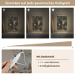 Zeearend - Vliegen - Bos - Natuur Light Box met kabel (Kinderlampje) klein -USP_dimbaarDE