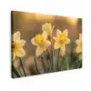 Bloemen - Geel - Wazig Tuinposter op houten frame 2 cm dik klein -3d