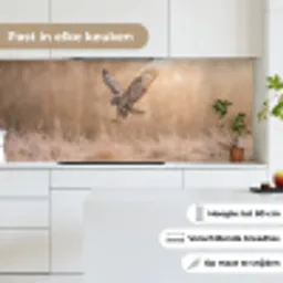 Buizerd - Roofvogel - Natuur - Bruin keuken achterwand 2 middel -sfeer4_NL