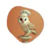 Kerkuil - Koksmuts - Oranje - Vogel Wandcirkel Organisch Plexiglas middel -3d