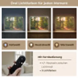 Bos - Pad - Bomen - Groen - Zon - Natuur Light Box met batterij (Wandlamp) middel -USP_lichtkleurDE