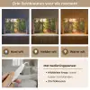 Bos - Pad - Bomen - Groen - Zon - Natuur Light Box met kabel (Tafellamp) klein -USP_lichtkleurNL