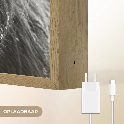 Schotse hooglander - Zwart - Wit - Sneeuwvlokken Light Box met batterij (Wandlamp) middel -USP_websiteoplaadbaarNL