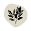 Ovaal - Olijfgroen - Simpel Wandcirkel Organisch Forex 3mm klein -3d