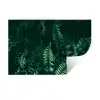 Bladeren - Jungle - Natuur - Tropisch - Planten Muursticker klein -3d