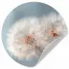 Paardenbloemen - Pluisjes - Wit Wandcirkel behangsticker klein -3d