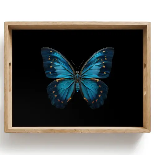Vlinder - Blauw - Contrast Dienblad Rechthoek middel -z3d_shopping