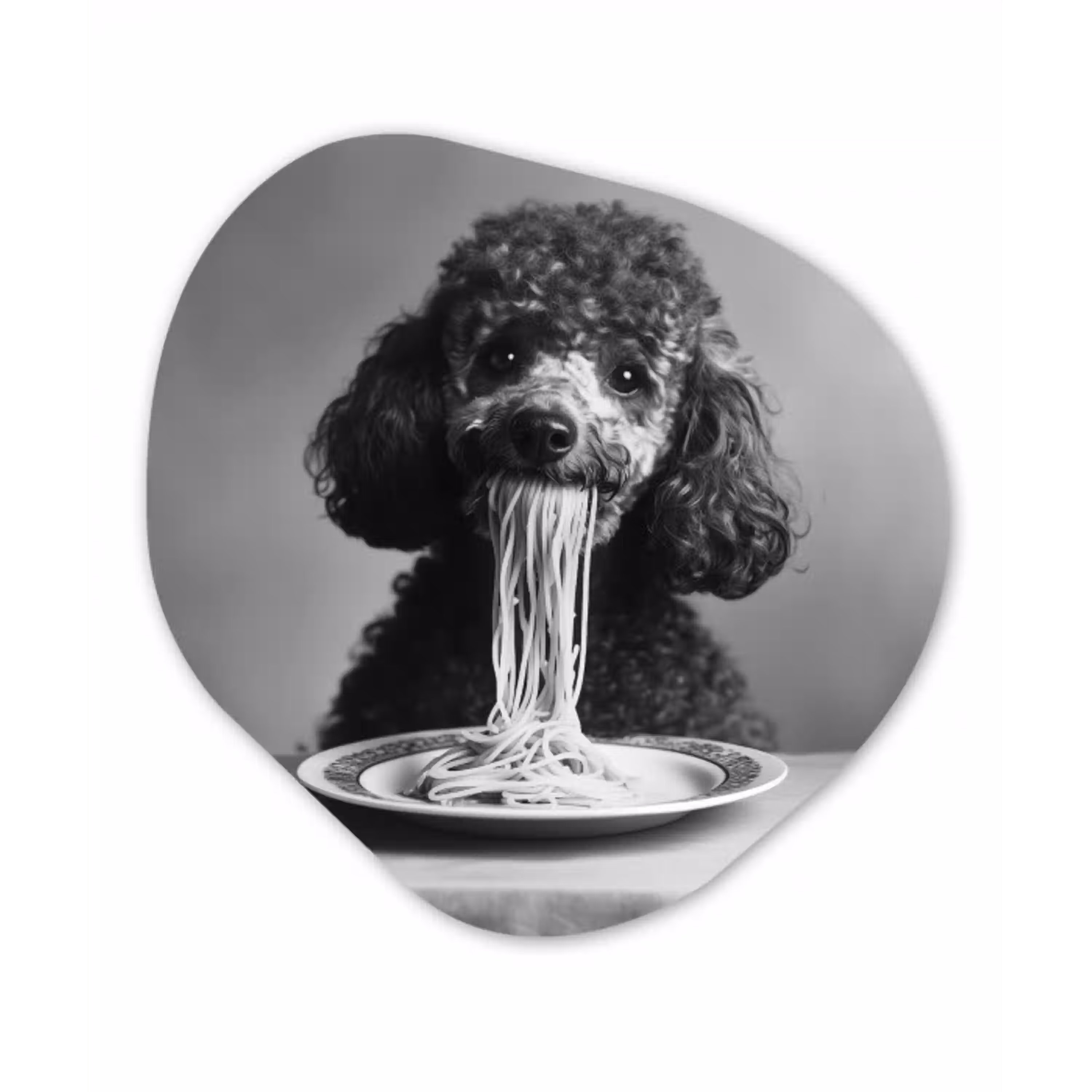 Poedel - Hond - Zwart - Wit - Schattig - Pasta Wandcirkel Organisch Plexiglas middel -3d