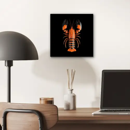 Kreeft - Oranje - Zwart - Modern aluminium wit klein -sfeer5