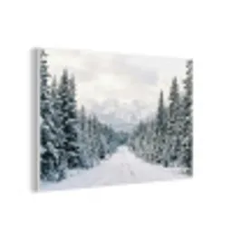 Weg - Sneeuw - Naaldbos - Winter - Avontuurlijk forex 5mm xxl -3d