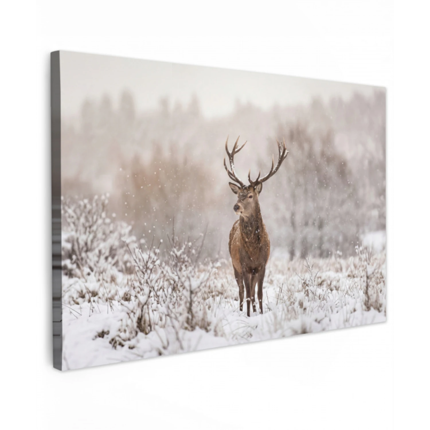 Edelhert - Bos - Sneeuw - Winter - Majestueus canvas 2cm klein -z3d