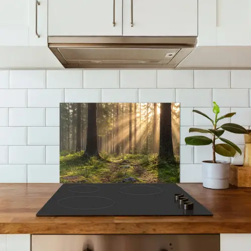 Bos - Zonlicht - Gras keuken achterwand spatscherm klein -sfeer2