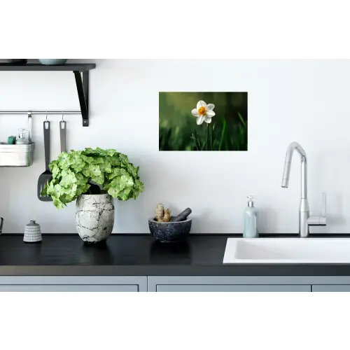 Narcis - Bloem - Wit - Grassprieten Muursticker klein -keuken