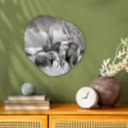 Olifant - Dieren - Natuur - Zwart wit Wandcirkel Organisch Forex 3mm klein -sfeer2