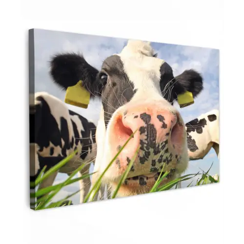 Koe - Boerderij - Gras - Dieren canvas 2cm klein -z3d