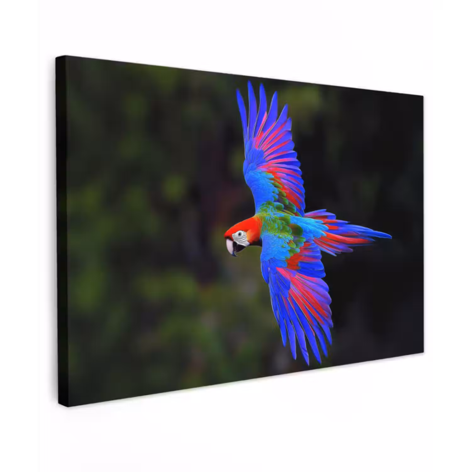 Canvas schilderij - Felgekleurd - Papegaai - Bos - Vleugels