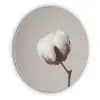 Katoenbol - Minimalistisch - Wit Akoestische PET Vilt - Rond klein -3d