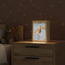 Vogel - Steltloper - Water - Natuur Light Box met kabel (Kinderlampje) klein -sfeer1_kind