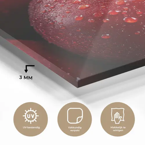 Rood - Appels - Fruit plexiglas 5mm klein -sfeer2
