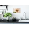 Bloem - Minimalistisch - Groen Muursticker klein -keuken