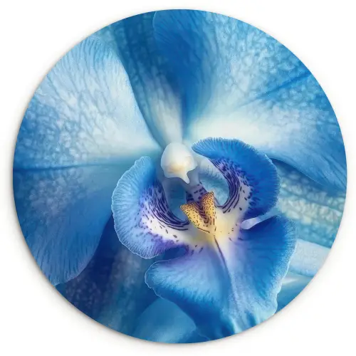 Blauw - Orchidee - Elegeant Wandcirkel kunststof plaat 5mm dik klein -3d
