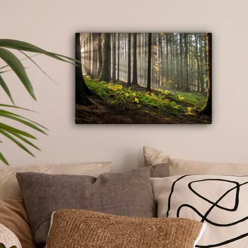 Zon - Takken - Bomen - Bos - Natuur canvas 2cm klein -sfeer1