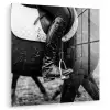 Paard - Sport - Zwart - Wit plexiglas 5mm klein -zzzproduct_nieuw