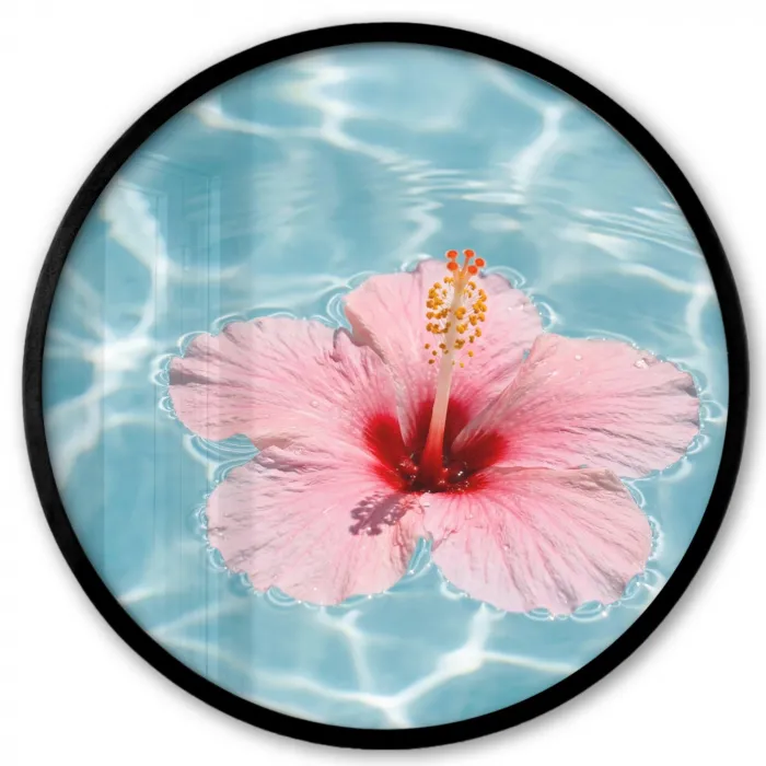 Hibiscus - Water - Roze Fotolijst rond zonder passe partout klein -3d