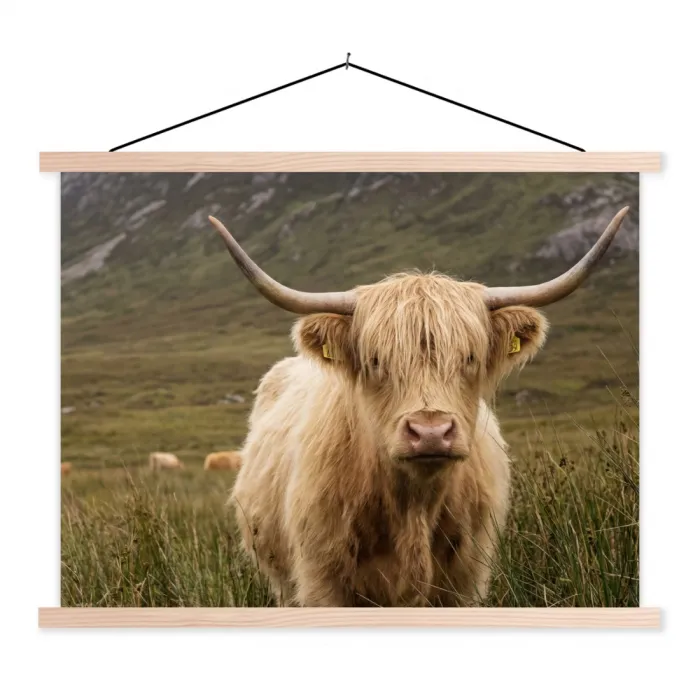 Schotse hooglander - Bergen - Grasveld textielposter latten blank klein -3d