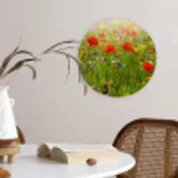 Lente - Bloemen - Rood - Klaproos - Gras - Groen Wandcirkel kunststof plaat 5mm dik klein -sfeer4
