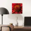 Close up - Bloem- Rood aluminium wit klein -sfeer5