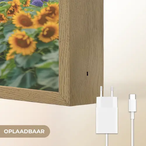 Bloemen - Pad - Zonnebloemen - Tuin - Hortensia Light Box met batterij (Wandlamp) middel -USP_websiteoplaadbaarNL