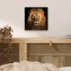Leeuw - Dieren - Zwart - Licht - Bruin - Portret aluminium wit klein -sfeer3