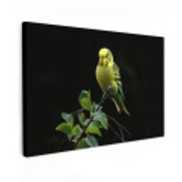 Parkiet - Tak - Bladeren - Geel Tuinposter op houten frame 2 cm dik klein -3d