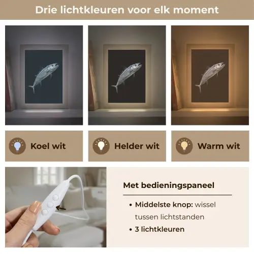 Makreel - Vis - Zwart Light Box met kabel (Tafellamp) klein -USP_lichtkleurNL