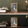 Sphynx - Kat - Dieren - Humor - Spaghetti - Zwart Wit Light Box met kabel (Tafellamp) klein -sfeer3