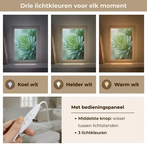 Blad - Plant - Groen - Textuur Light Box met kabel (Tafellamp) klein -USP_lichtkleurNL