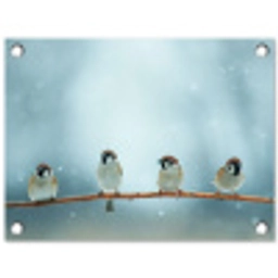 Mussen in de Sneeuw tuinposter los doek klein -3d