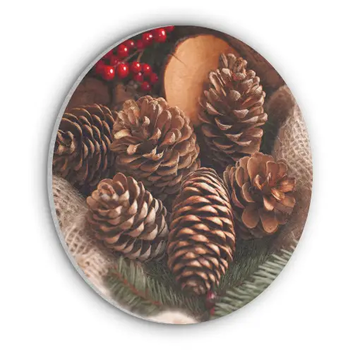 Dennenappels - Boom - Winter - Natuur - Bruin Akoestische PET Vilt - Rond klein -3d