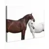 Paard - Modern - Balans Tuinposter op houten frame 2 cm dik klein -3d