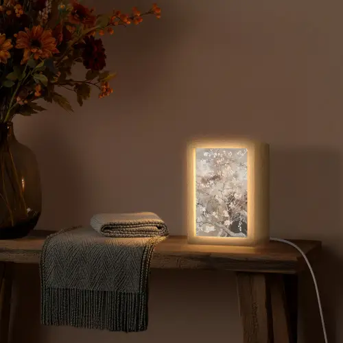 Amandelbloesem - Kunst - Van Gogh - Beige - Abstract Light Box met kabel (Tafellamp) klein -sfeer4