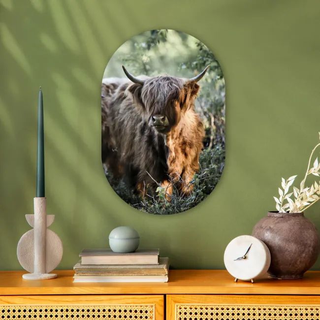 Schotse Hooglanders - Bos - Dieren Wandcirkel Ovaal Forex klein -sfeer2