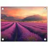 Lavendelveld - Zonsondergang - Paars tuinposter los doek klein -3d