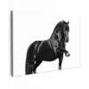Fries - Hengst - Modern canvas 2cm klein -z3d